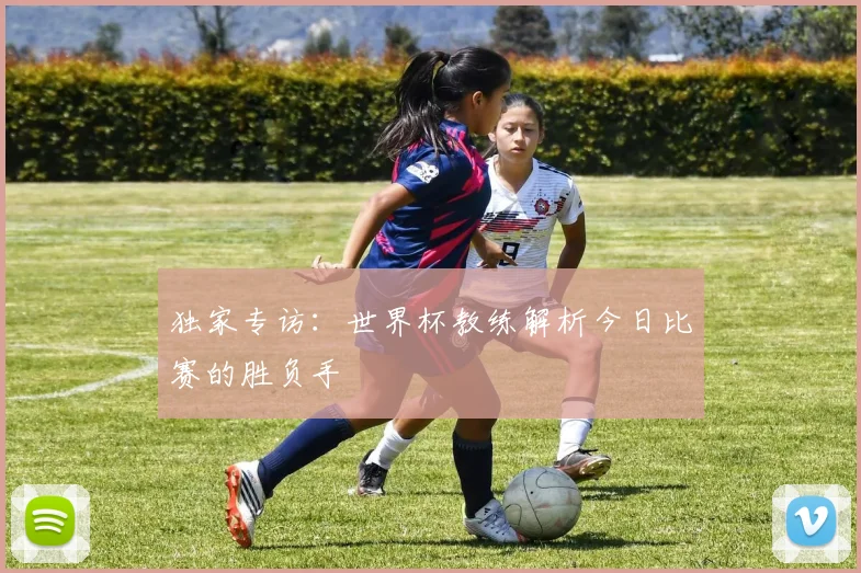 独家专访：世界杯教练解析今日比赛的胜负手